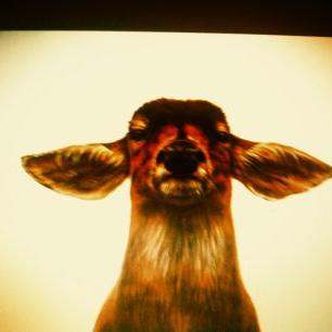 Profile Picture of Harold Mckinney (@goatmoe08) on Twitter