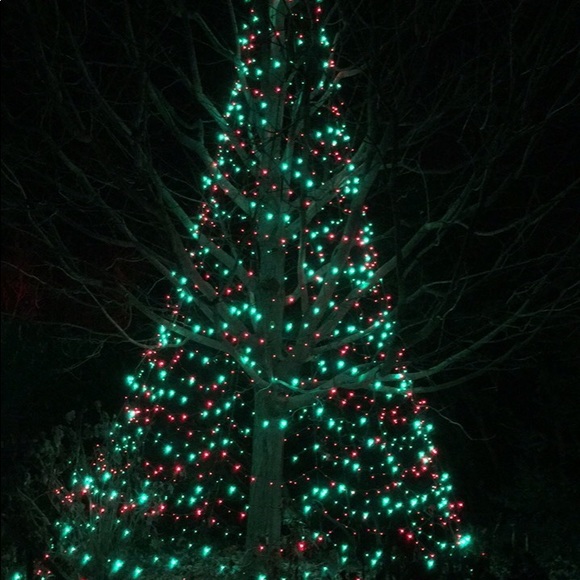 Profile Picture of Kyle Martin (@pakupaku) on Poshmark