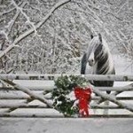 Profile Picture of Sandy Cobb Gustafson (@scobber4444) on Instagram