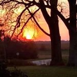 Shelly grubbs - Instagram Profile Picture of Shelly grubbs (@shelly_grubbs) on Instagram