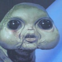 Profile Picture of Amelia Newton (@amelia-newton-3) on Quora