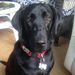 Profile Picture of Leesie O'Connell (@sparr14) on Pinterest