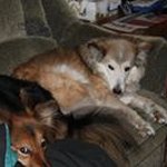 Profile Picture of William celio (@william.celio) on Instagram