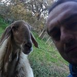Profile Picture of Alessandro Cirillo (@alex.cirillo81) on Instagram
