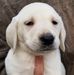 Profile Picture of Kim Pelkey (@kim.pelkey.507) on Facebook
