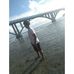 Profile Picture of Brian Olea (@brian.olea.39) on Facebook