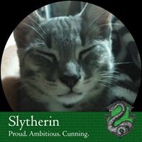 Profile Picture of Julia Rangel (@julia-rangel-3) on Quora