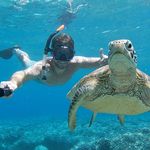 Profile Picture of Tyler Weston (@tylerdayneweston) on Instagram