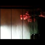 Profile Picture of Shelly Zhao (@shelly0710) on Instagram