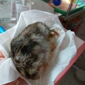 Profile Picture of Phoebe Lau (@phoebelau9486) on Youtube