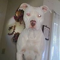 Profile Picture of Dustin Hoff (@DustinH26581577) on Twitter