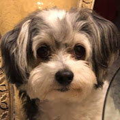 Profile Picture of Bianca Estevez (@biancaestevez3588) on Youtube