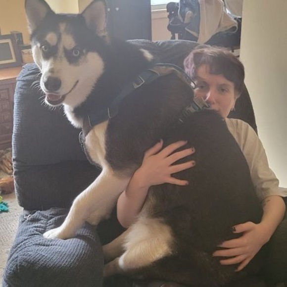 Profile Picture of Scott Harvey (@doctorwho113421) on Poshmark