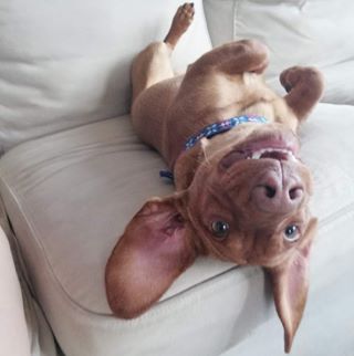 Profile Picture of David Drobek Hofbauer (@David-Drobek-Hofbauer) on Facebook