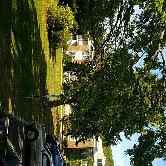 Profile Picture of Elaina-joy Susman (@ejsusman) on Poshmark