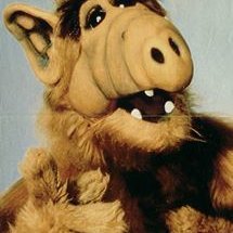 Profile Picture of Neil Newlands (@neil.newlands) on Myspace