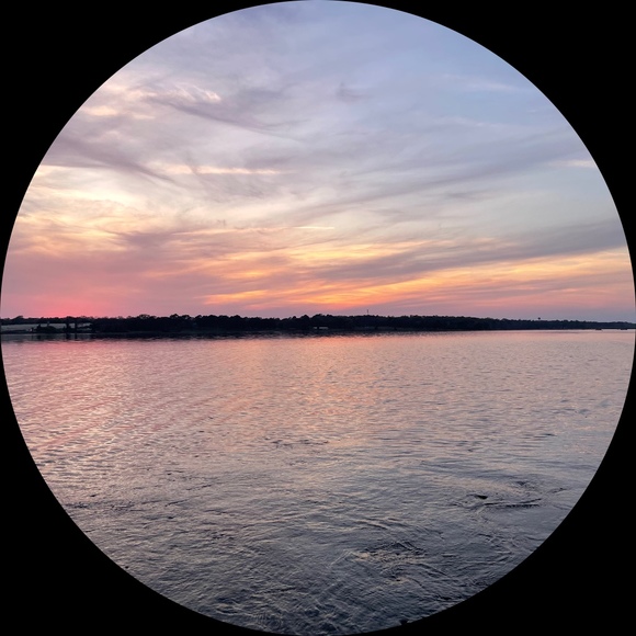 Profile Picture of Violet Collier (@user83710) on Poshmark