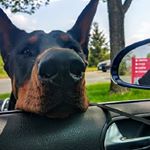 Profile Picture of Bryce Earl Crousore (@bryce_crousore) on Instagram