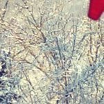 Profile Picture of Thomas Lentine Lover (@thomasl_lover) on Instagram