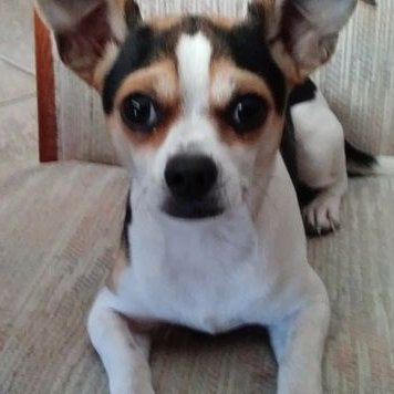 Profile Picture of Dr. Randall Boyd (@DrRandallBoyd) on Twitter