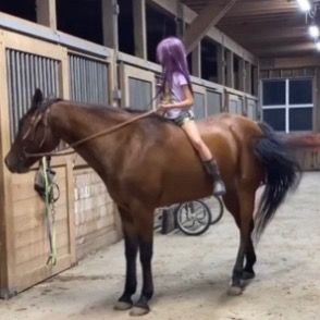 Profile Picture of bristolandNala (@bristolandnala) on Tiktok