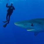 Profile Picture of Benjamin Schreiner (@derschreini) on Instagram