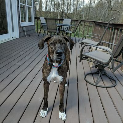 Jesse Olstad - Twitter Profile Picture of Jesse Olstad (@JesseOlstad) on Twitter