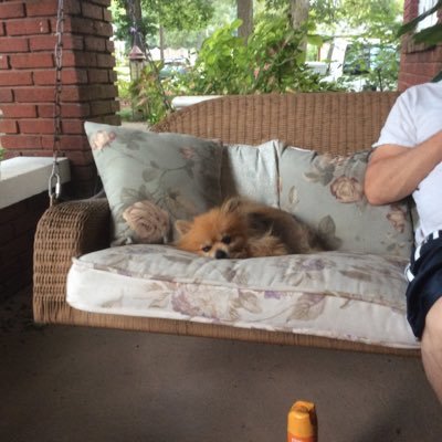 Profile Picture of Thomas B. Carroll (@BrownlowCarroll) on Twitter