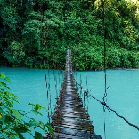 Profile Picture of forestfox (@forestfox18) on Tiktok