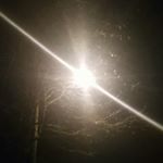 Profile Picture of David Shuster (@silverlightlantern) on Instagram