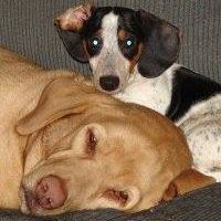 Mitchell Mangrum - Facebook Profile Picture of Mitchell Mangrum (@mitchell.mangrum) on Facebook