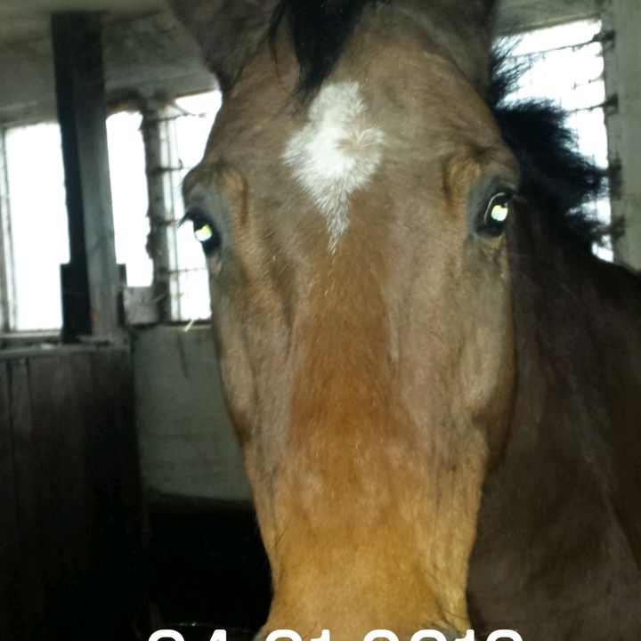 Profile Picture of hirschjason34 (@hirschjason34) on Tiktok