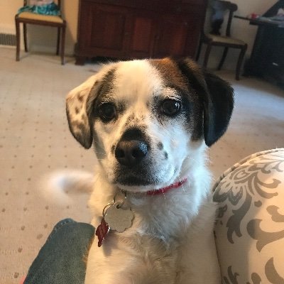 Profile Picture of Connie McDougall (@ConnieMcDougal7) on Twitter