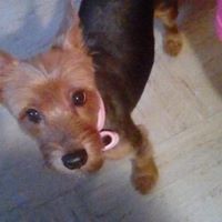 Profile Picture of Lisa Tates (@lisa-tates) on Quora