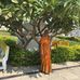 Profile Picture of Lakshmi Ganugapati (@lakshmi.ganugapati.7) on Facebook