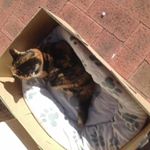 Profile Picture of Georgie Overton (@bobbie_21_love) on Instagram