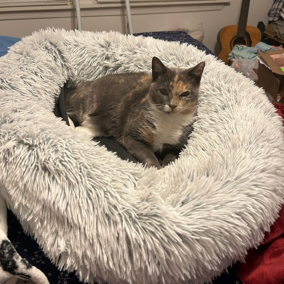 Profile Picture of Kimberly Rutkowski (@maddie150_) on Poshmark