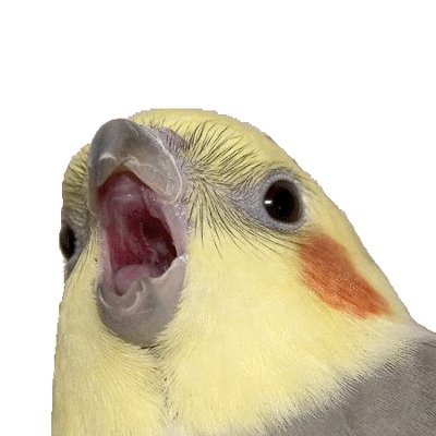 Profile Picture of Matthew Bundy (@Infinint2) on Twitter