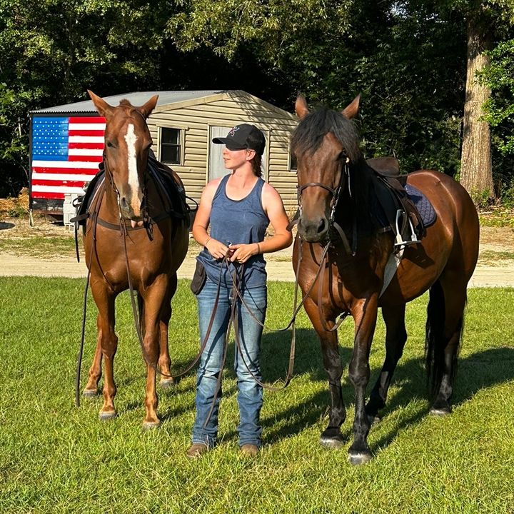 Profile Picture of   Stop this abuse... (@sorrelmare1) on Tiktok