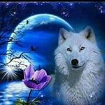 Randy Padilla - Instagram Profile Picture of Randy Padilla (@randy.padilla.583) on Instagram