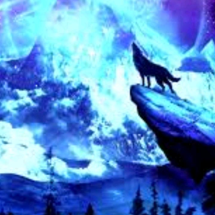 Profile Picture of Darlan kevin (@kevindarlan) on Tiktok