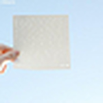 Profile Picture of fan zhang (@leftfan) on Flickr