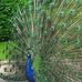Profile Picture of Quinten van Amerongen (@Quinten-van-Amerongen) on Facebook