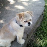 Profile Picture of John Ritchie (@john-ritchie-29) on Quora