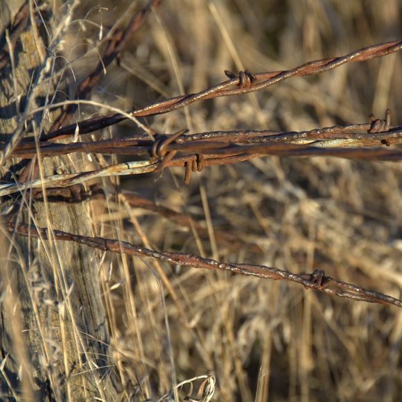 Profile Picture of Dave Crook (@dcrook2) on Poshmark