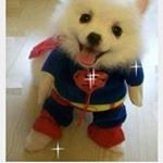 Profile Picture of Michiko Higashiya (@michikohigashiya) on Instagram