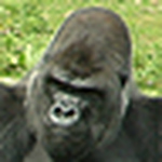 Geoff - Flickr Profile Picture of Geoff (@geoff822) on Flickr