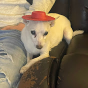 Profile Picture of Aaron Stevens (@aaronstevens1020) on Youtube