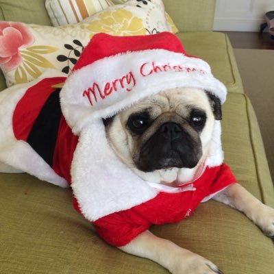 Profile Picture of Paul Duchen (@Duch1e) on Twitter