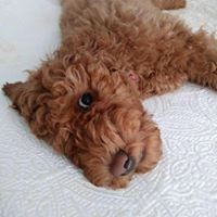 Profile Picture of Paula Mcclelland (@paula-mcclelland-4) on Quora
